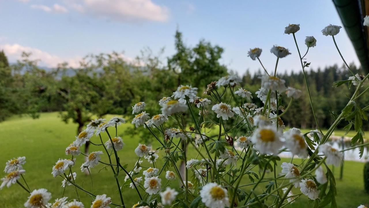 Appartamento Spulhof Abtenau Esterno foto