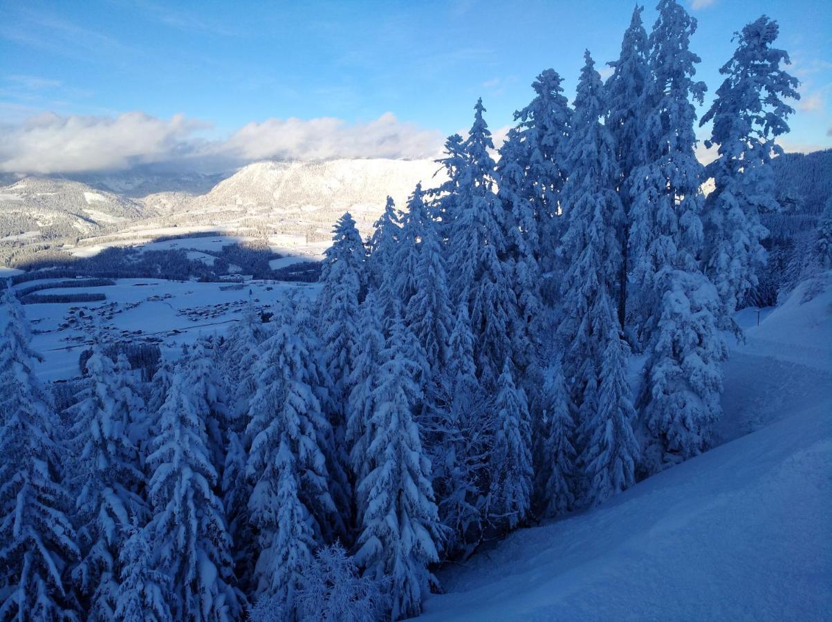 Appartamento Spulhof Abtenau Esterno foto