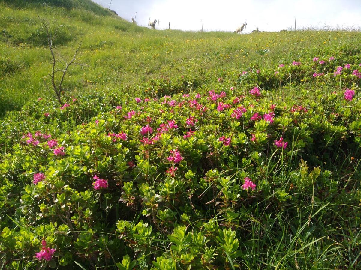 Appartamento Spulhof Abtenau Esterno foto