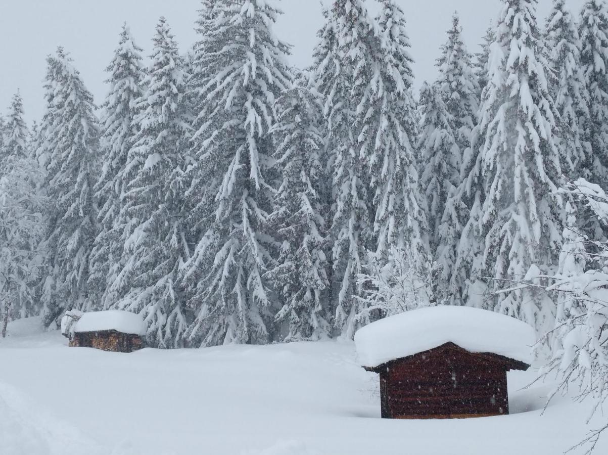 Appartamento Spulhof Abtenau Esterno foto